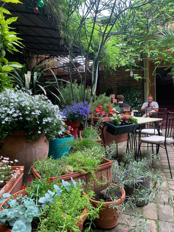 Bed And Breakfast "Caffe-Caffe" Kikinda Exterior photo